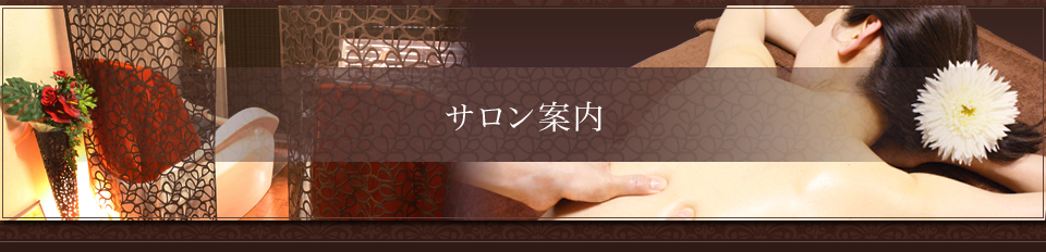 サロン案内